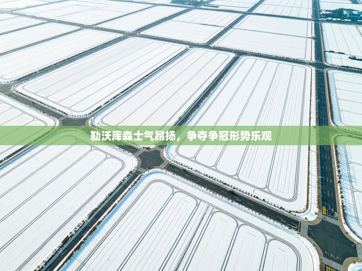 勒沃库森士气昂扬，争夺争冠形势乐观  第2张