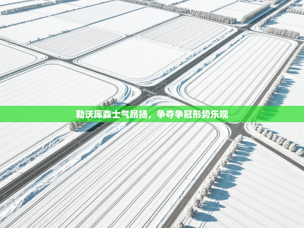 勒沃库森士气昂扬，争夺争冠形势乐观  第1张