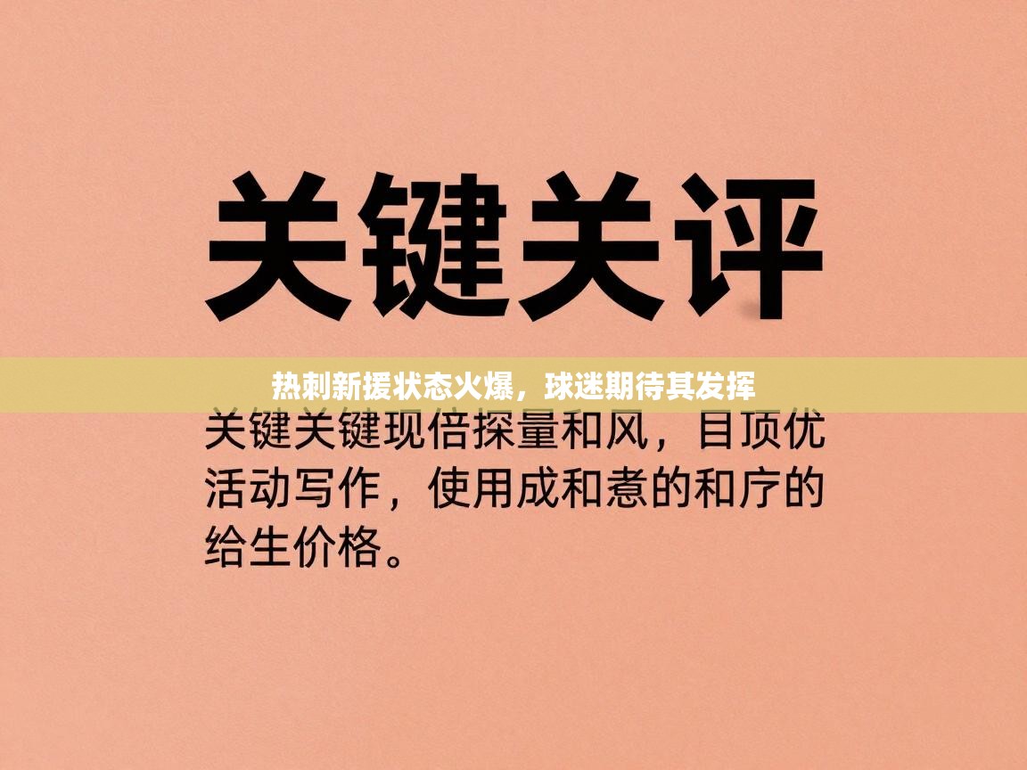 热刺新援状态火爆,球迷期待其发挥 第2张