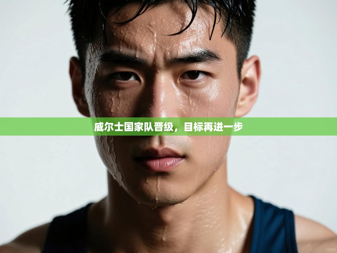 威尔士国家队晋级，目标再进一步  第1张