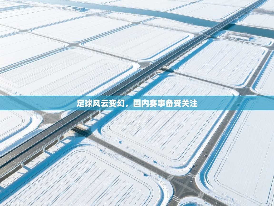 足球风云变幻，国内赛事备受关注  第1张