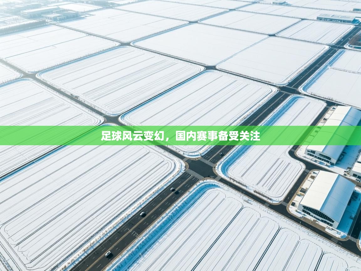 足球风云变幻，国内赛事备受关注  第2张