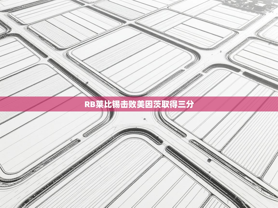 RB莱比锡击败美因茨取得三分 第2张