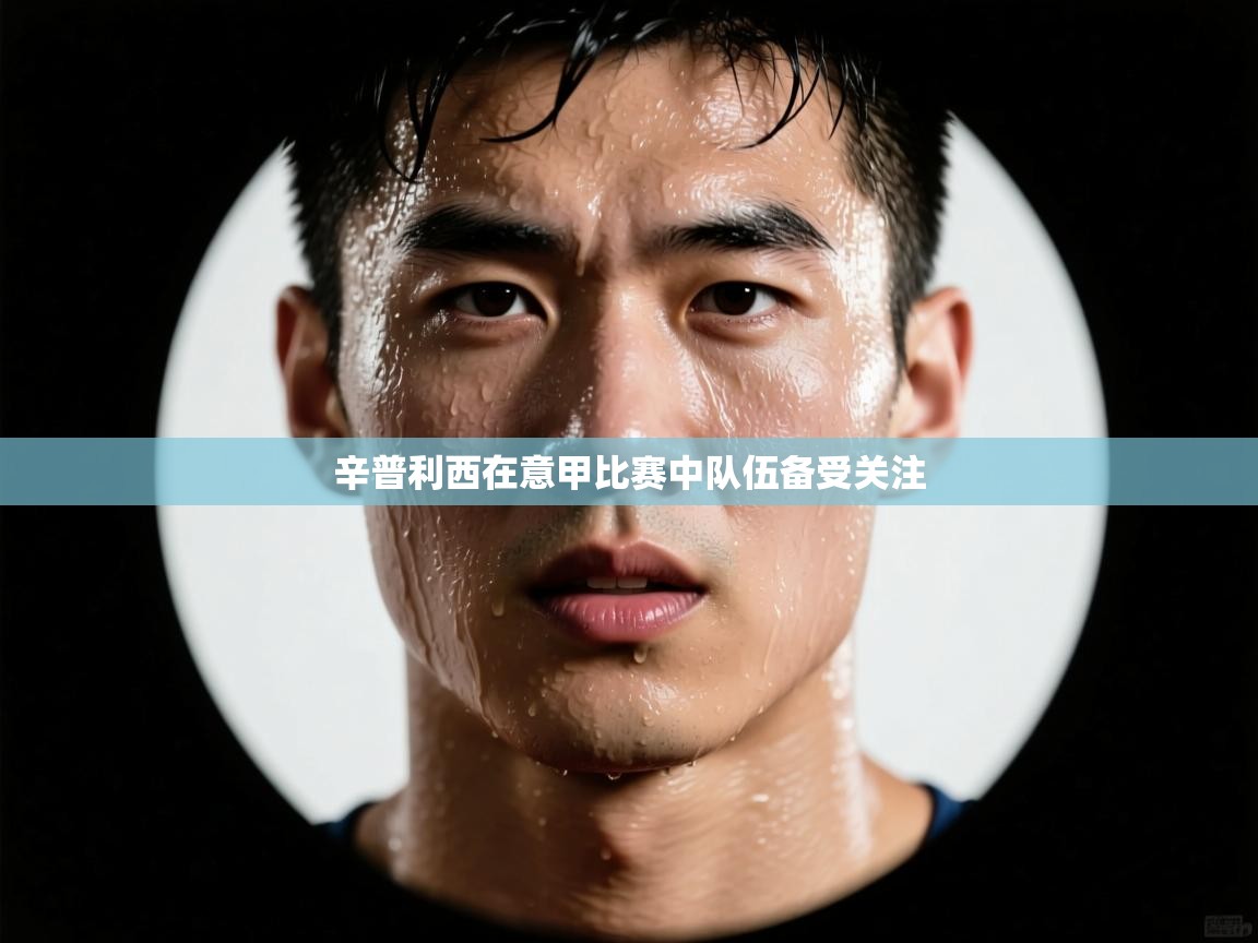 辛普利西在意甲比赛中队伍备受关注 第2张